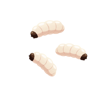 Screenshot 2024-02-28 023735